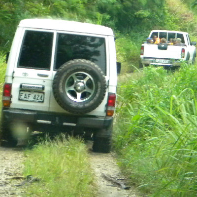 Bush Roads